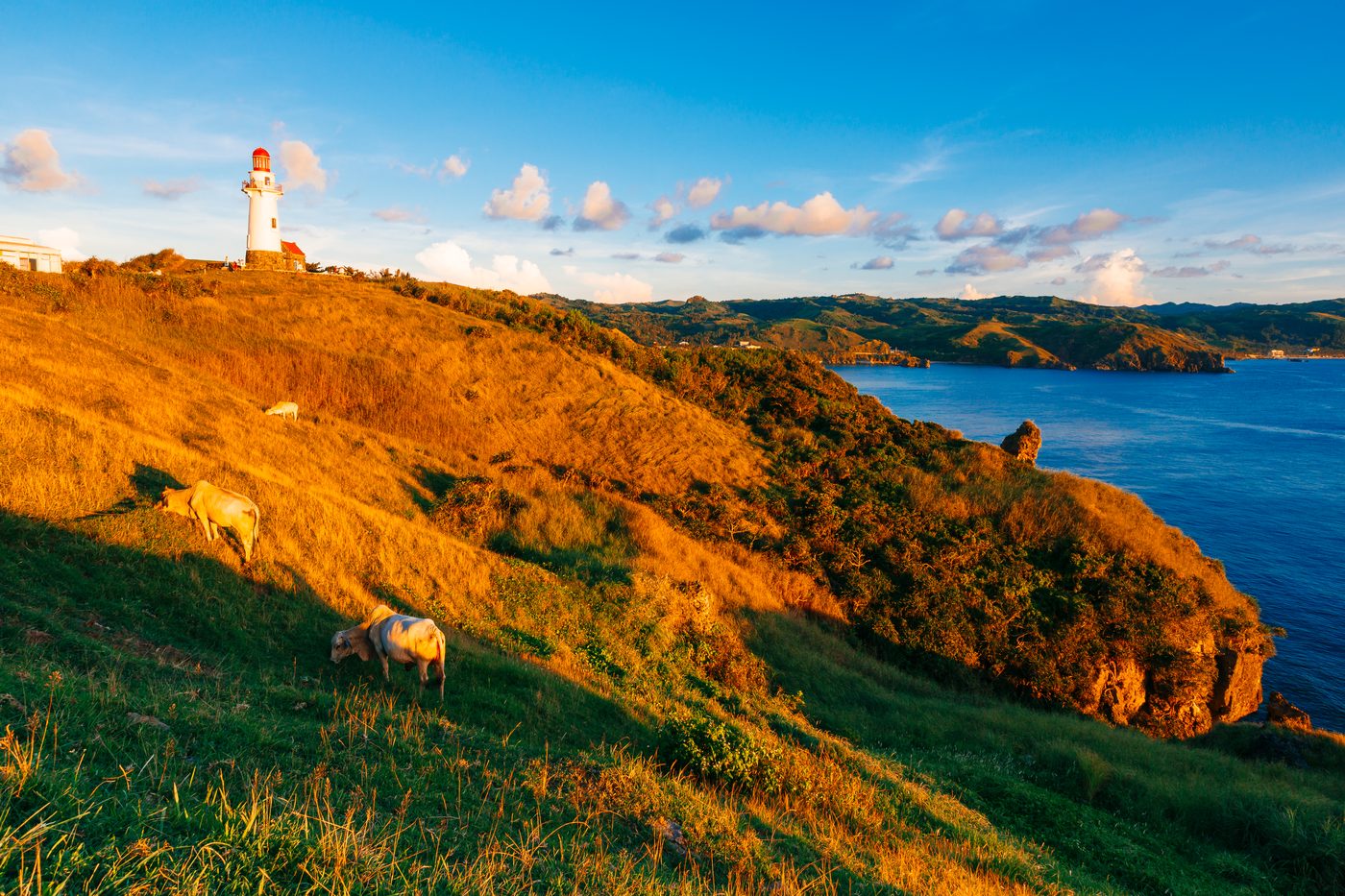 Lighthouse on grassy hills above the sea at sunset, Batanes