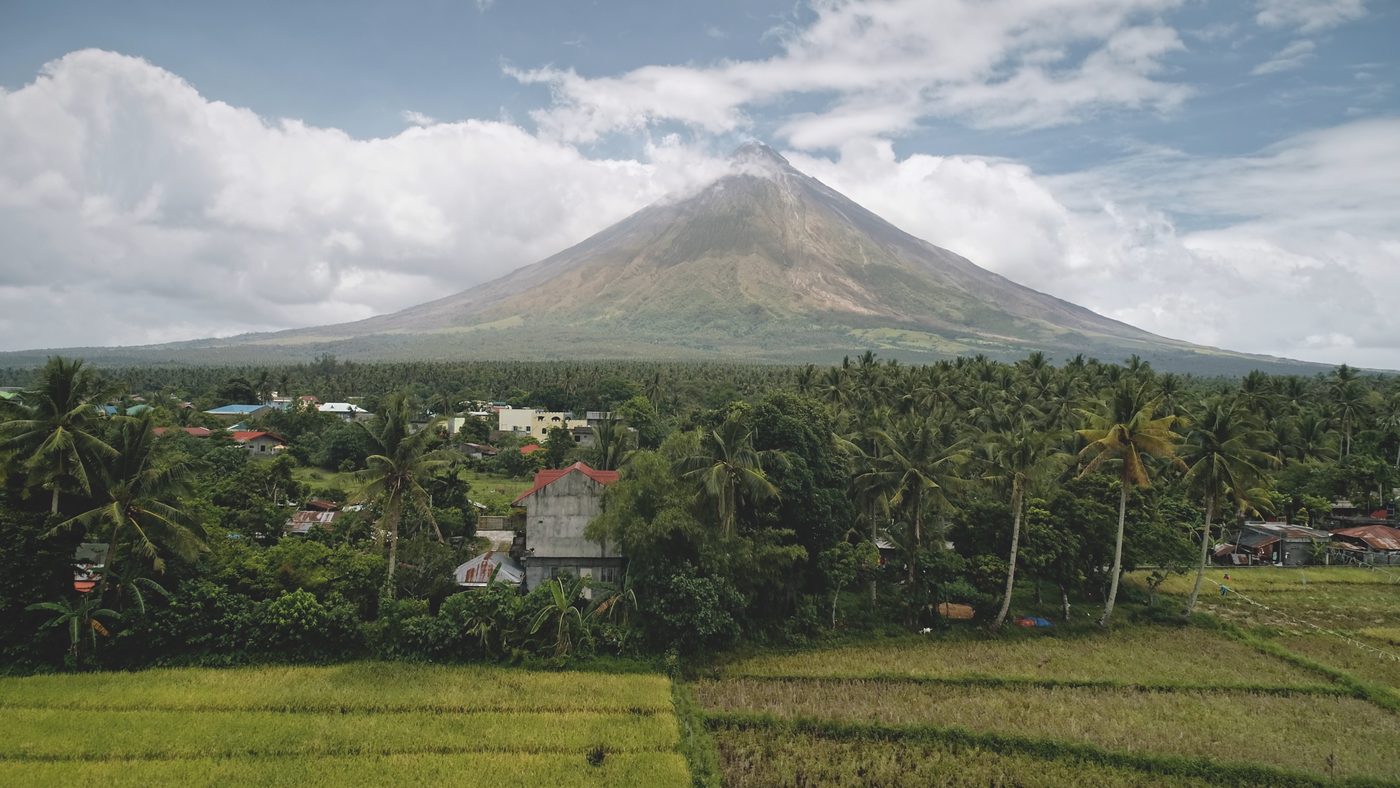 Mayon Volcano above palm trees and rice fields near Legazpi