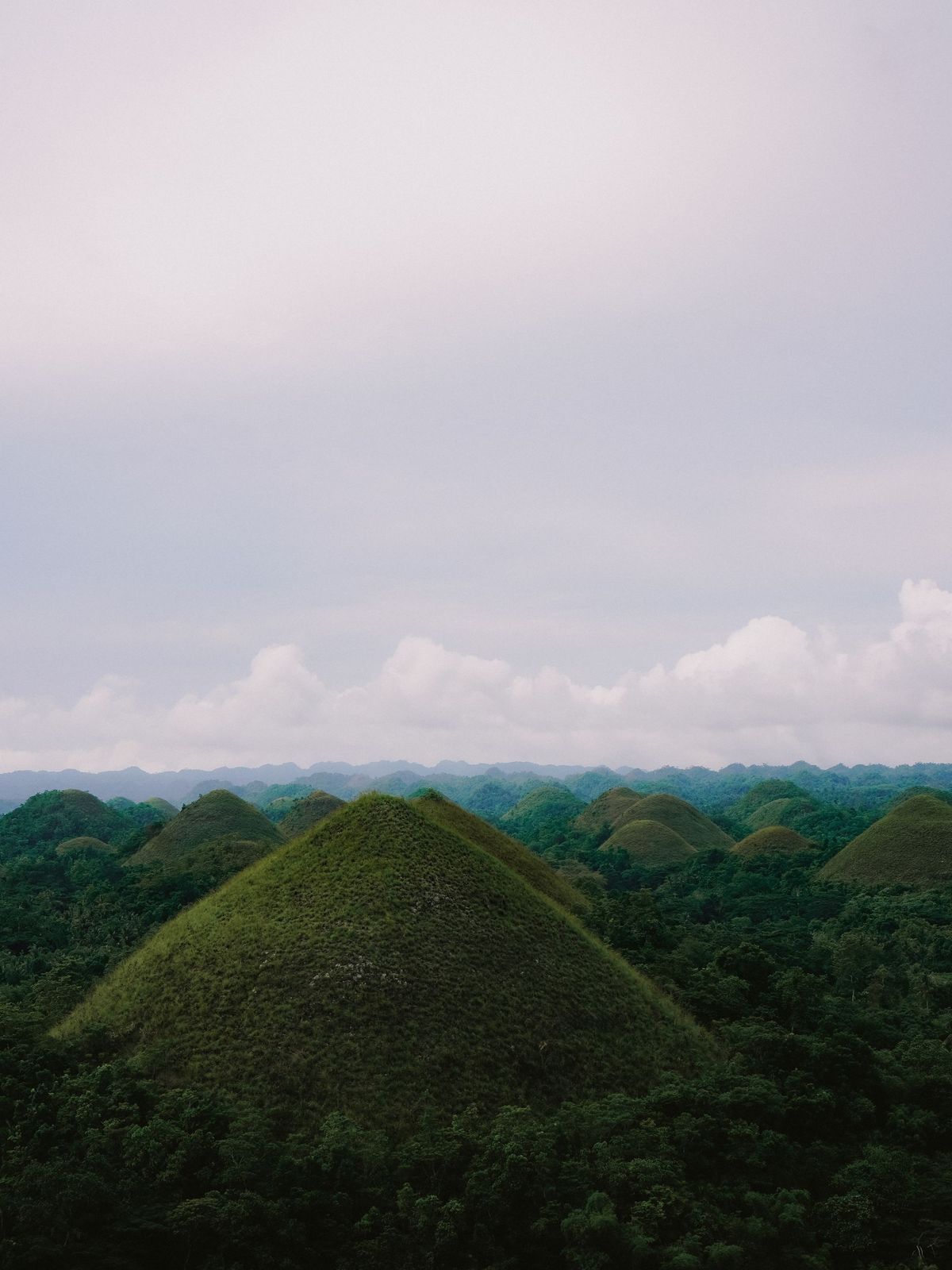 Grass covered Chocolate Hills rising above the forest in Bohol