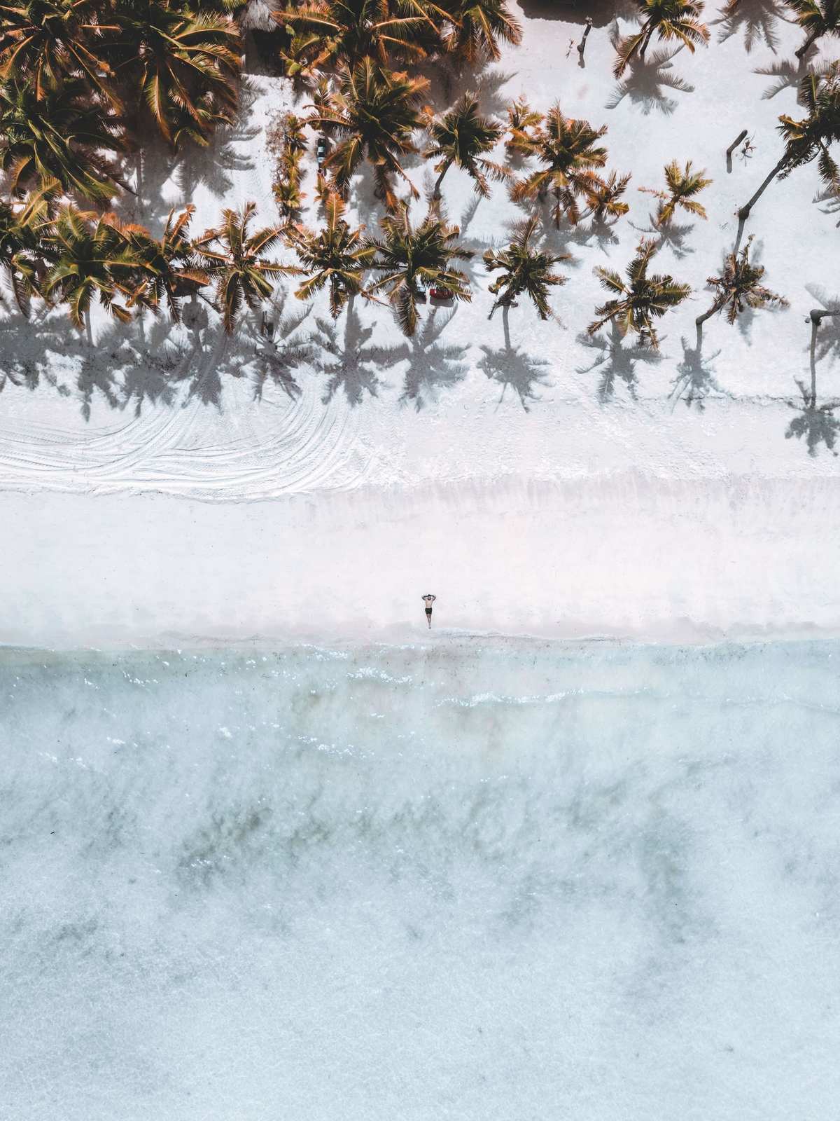 Coconut palms casting shade over white sand on Panglao, Bohol