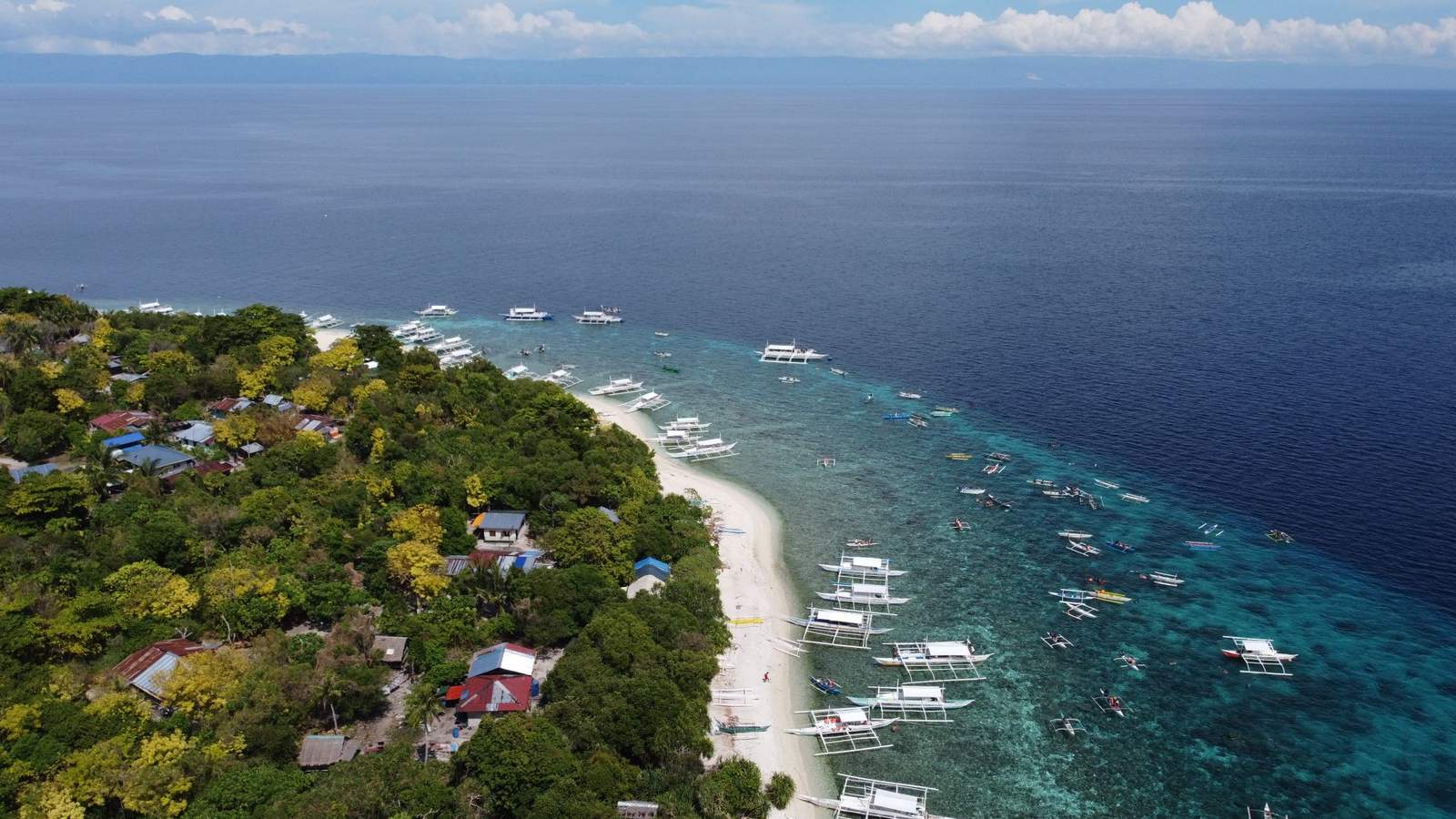 Aerial view of bangkas moored off the white sand coast of Panglao, Bohol